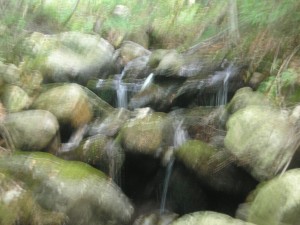blurry picture