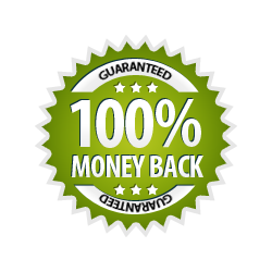Money Back Guarantee 100% - Burst Badge Green