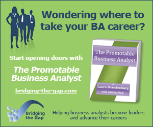 Find out more about The Promotable Business Analyst
