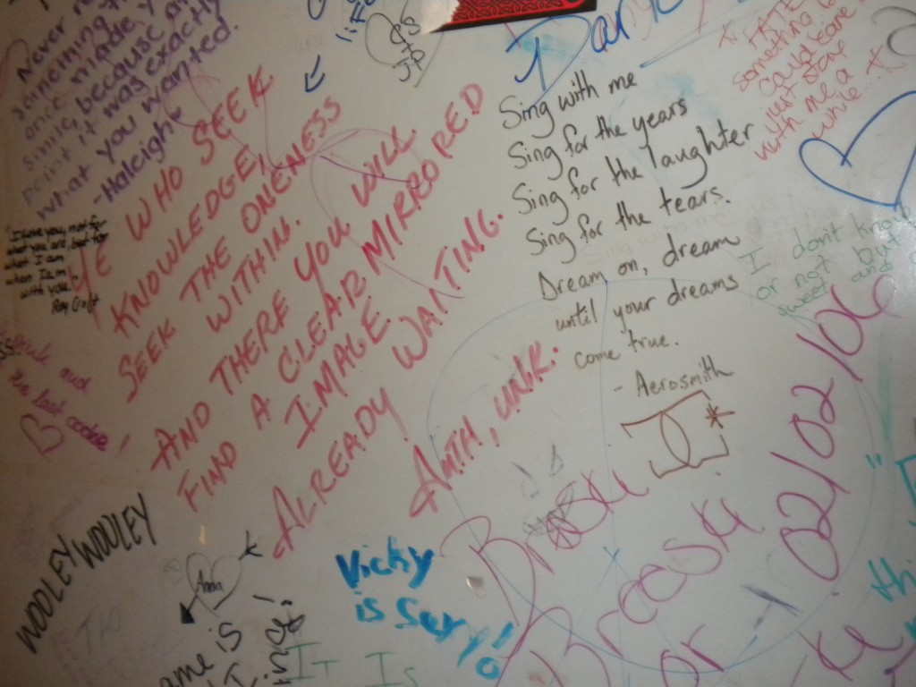 Writing on a bathroom wall Bridging the Gap